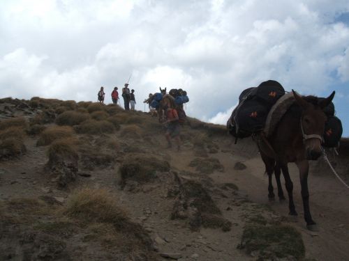 trekking con i muli-92.JPG